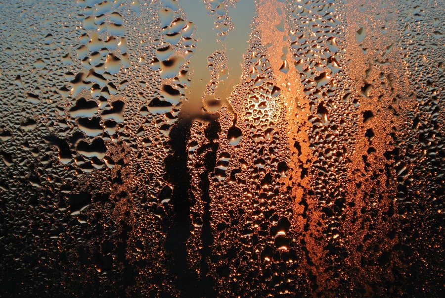 condensation on window