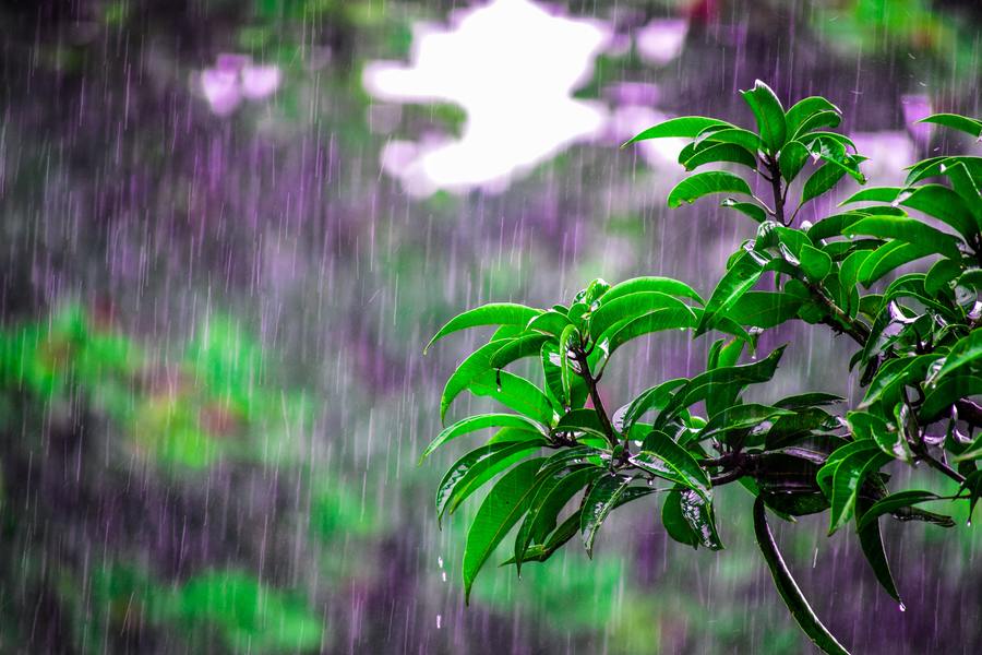 heavy rain during change of season