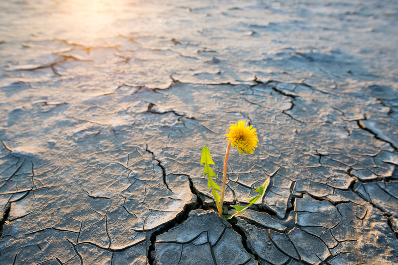 Climate change effects