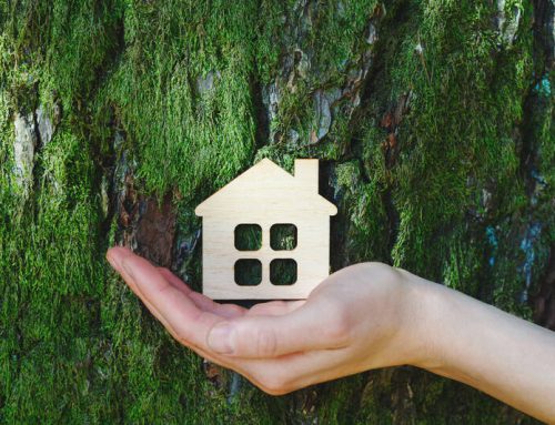 Here are some tips to make your home a more sustainable house