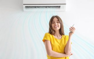 Who makes the best heat pump system Mitsubishi has you sorted.