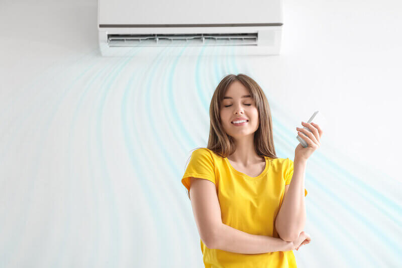 Who makes the best heat pump system Mitsubishi has you sorted.